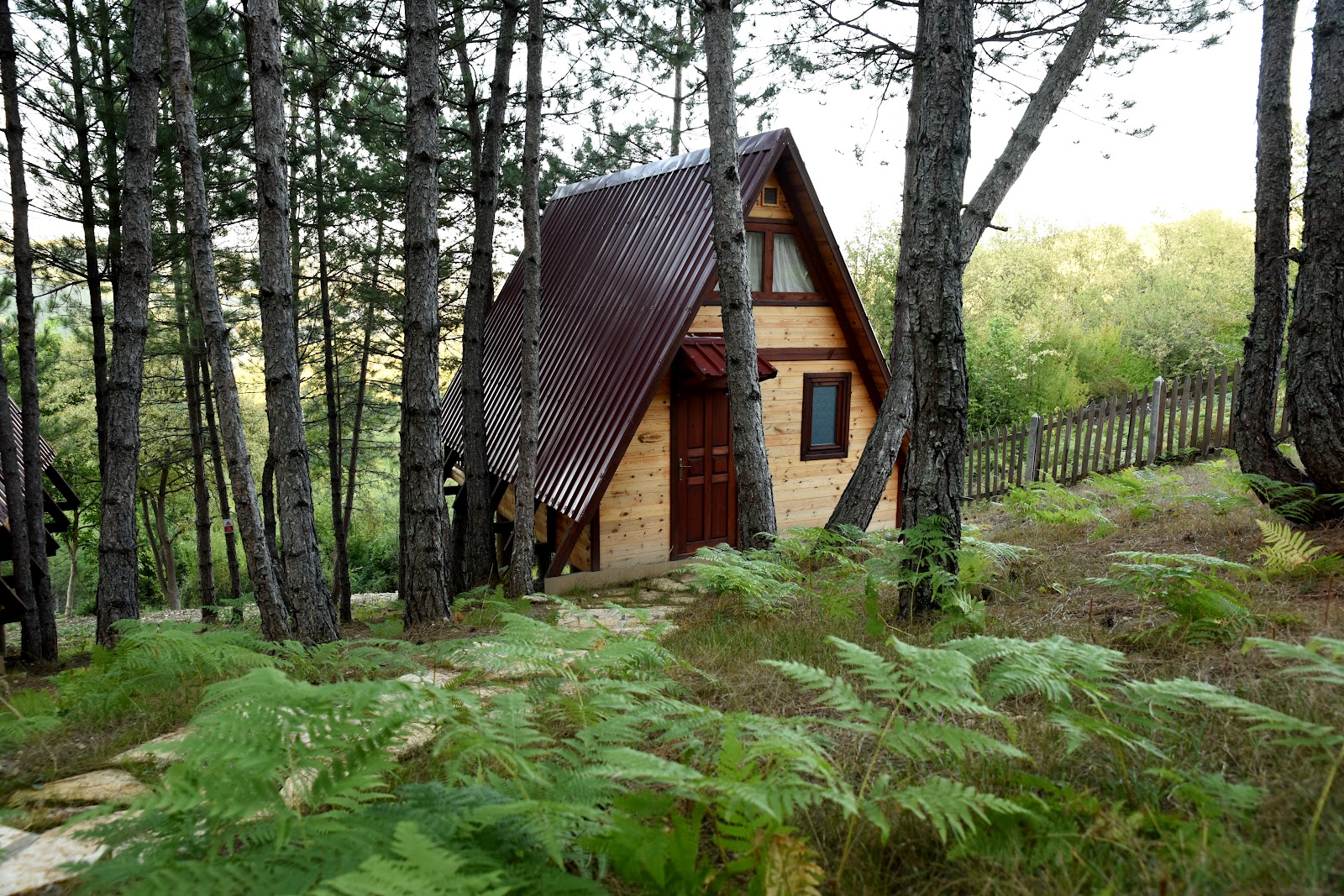 Fikri Atalay Konağı - Bungalov Evleri Bolu — fotoğraf 1