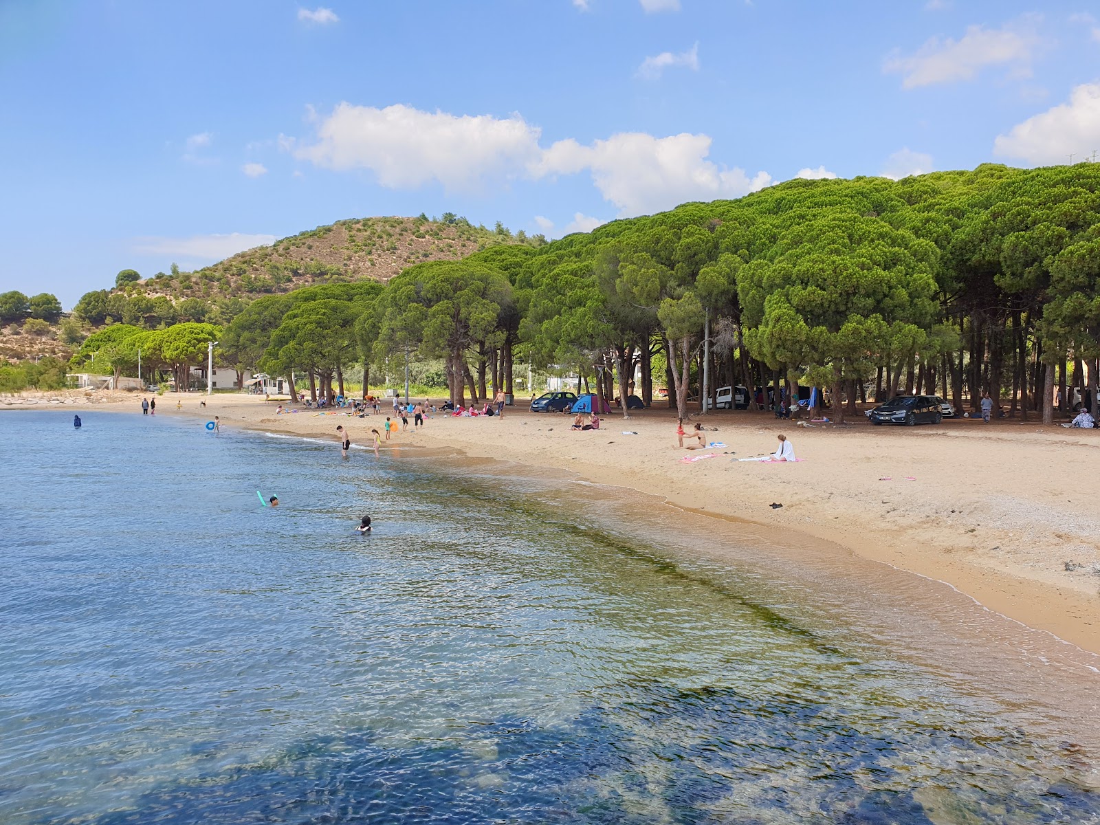 Fıstıklı Köyü Piknik Alanı