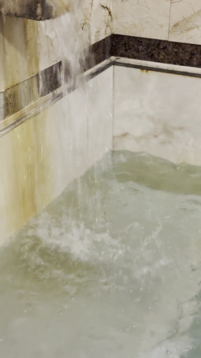 Garden Termal Otel — fotoğraf 3