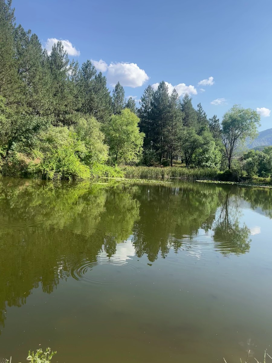 Gayda Gölü — fotoğraf 3