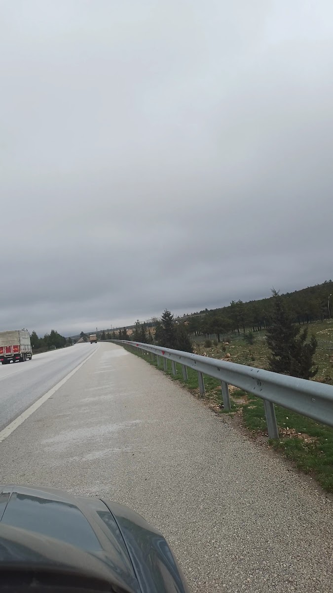 Gaziantep Hayvanat Bahçesi Binicilik — fotoğraf 2