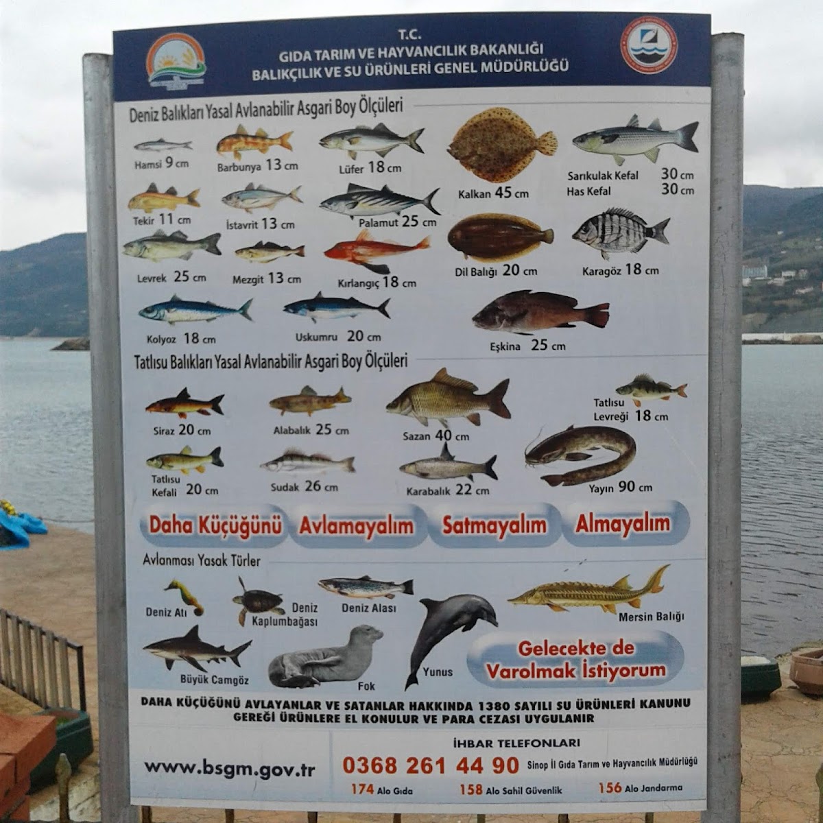 GERZE ORTA AİLE ÇAY BAHÇESİ — fotoğraf 2