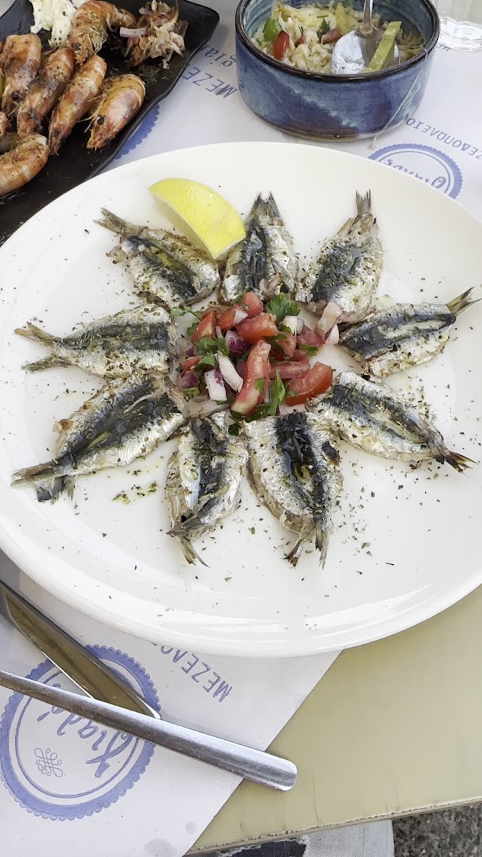 Gialos Deniz Ürünleri Restoranı — fotoğraf 3