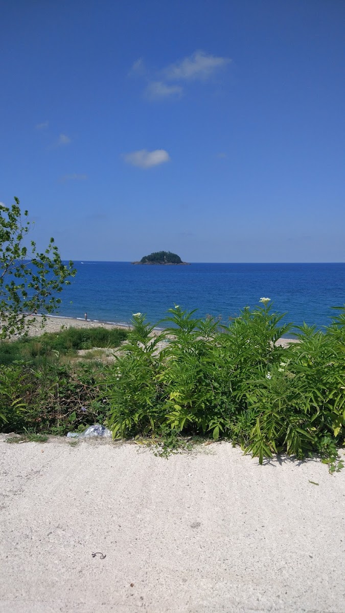Giresun Adası — fotoğraf 2
