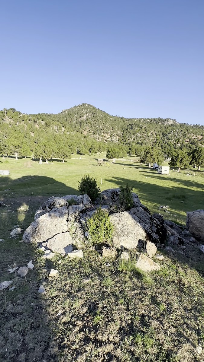 Gölhisar Böğrüdelik yaylası — fotoğraf 2