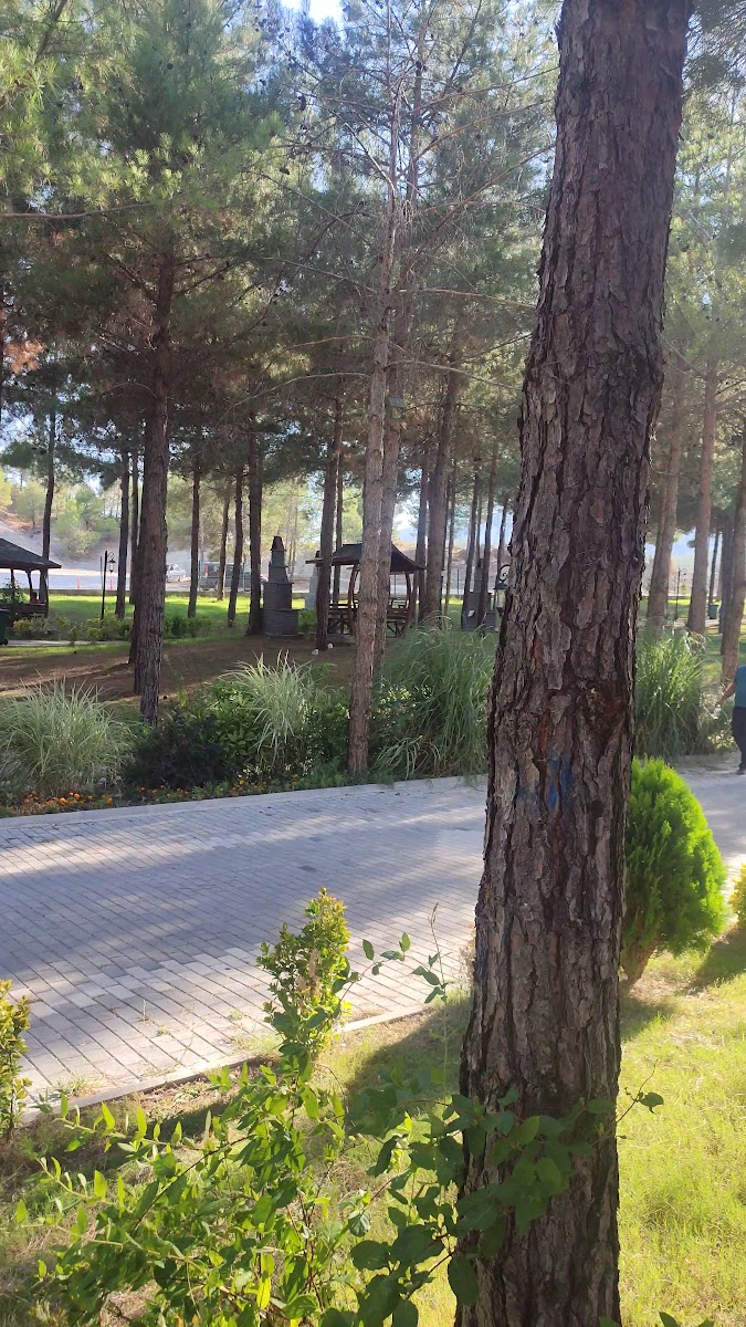 Gölhisar Piknik alanı — fotoğraf 2