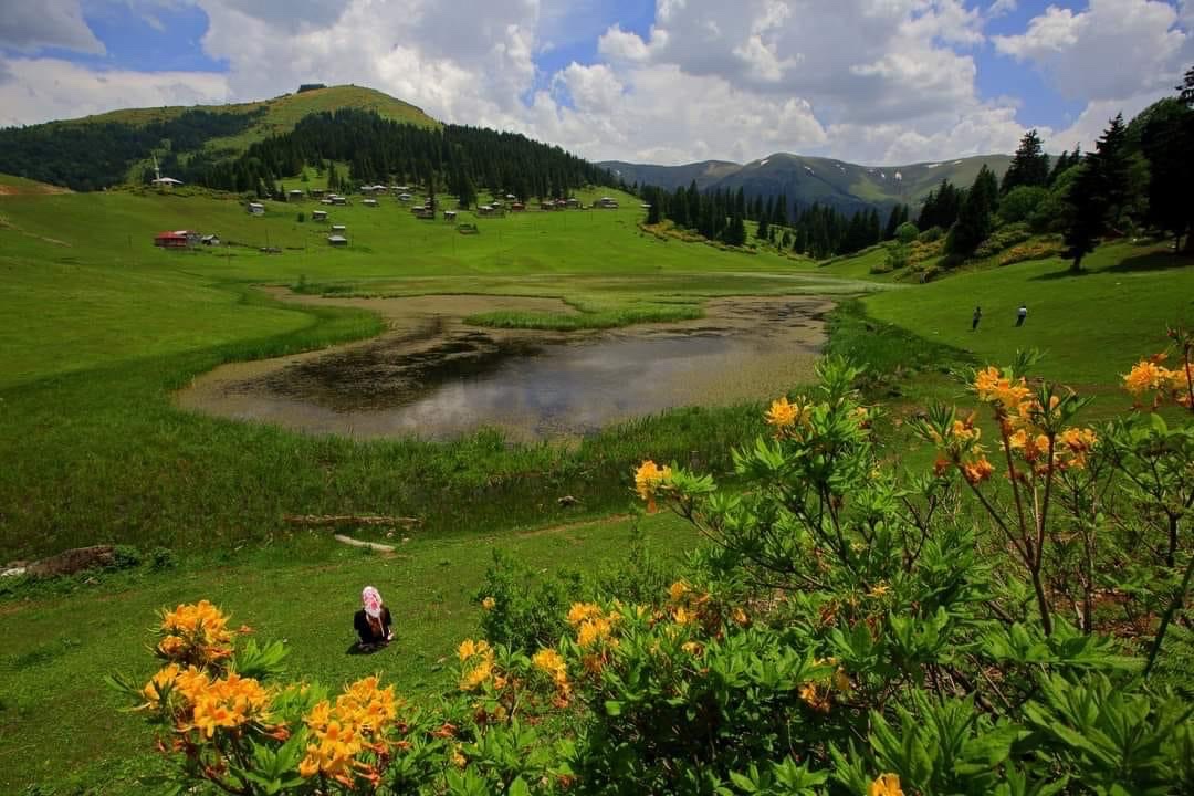 Gölyanı Yaylası — fotoğraf 1