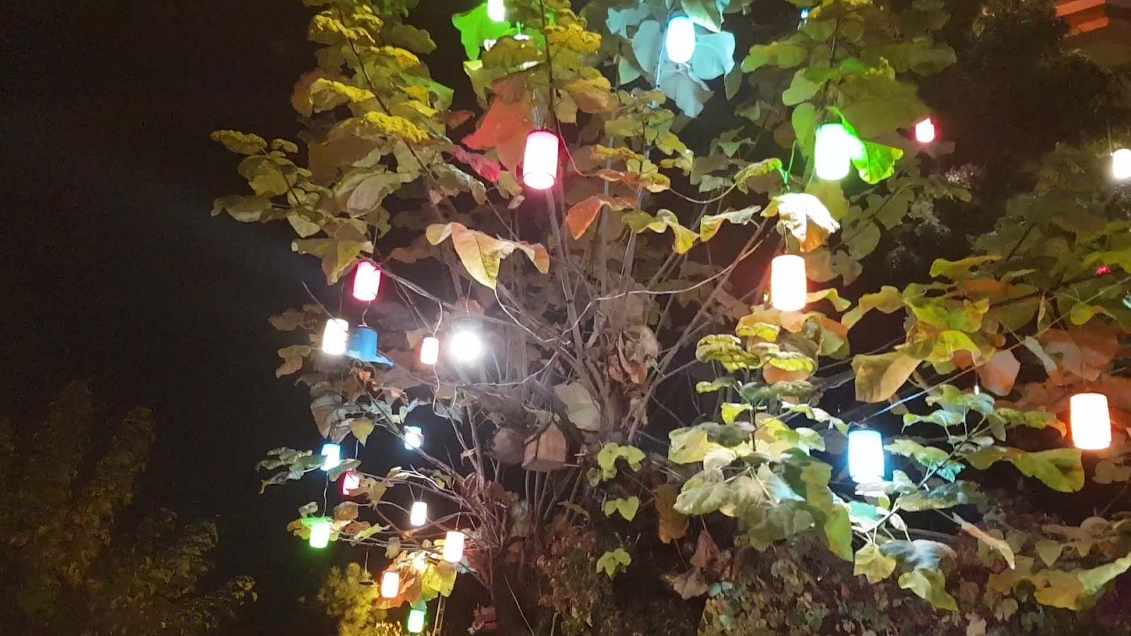 Gramofon Cafe — fotoğraf 3