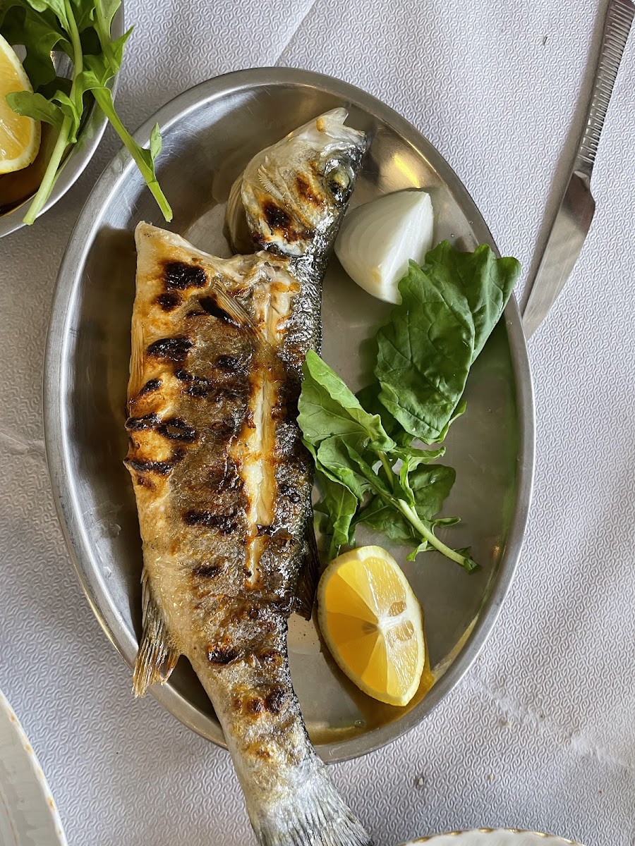 Güler Balık Restaurant — fotoğraf 2