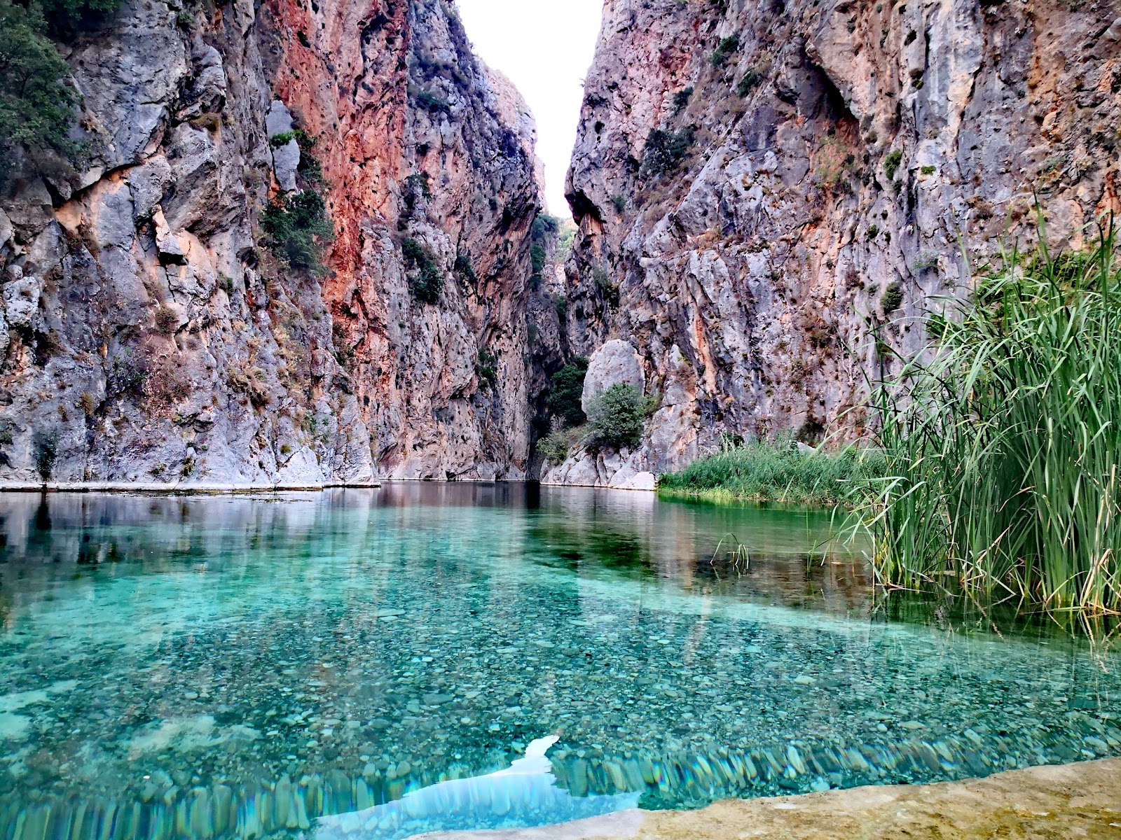 Güllük Dağı Termessos Milli Parkı — fotoğraf 1