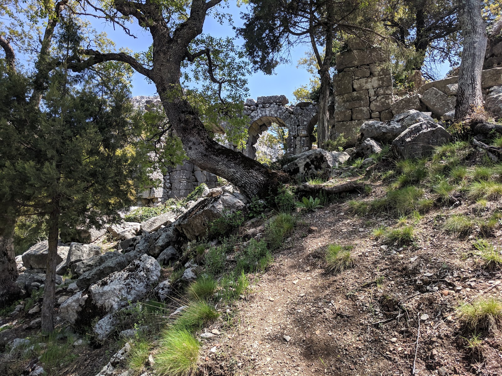 Güllük Dağı Termessos Milli Parkı — fotoğraf 4