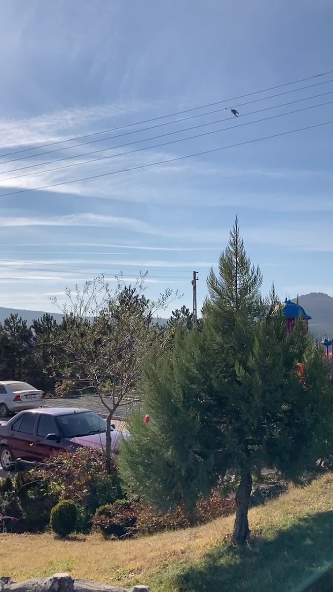 Gümüşhacıköy Dede Korkut Parkı — fotoğraf 3