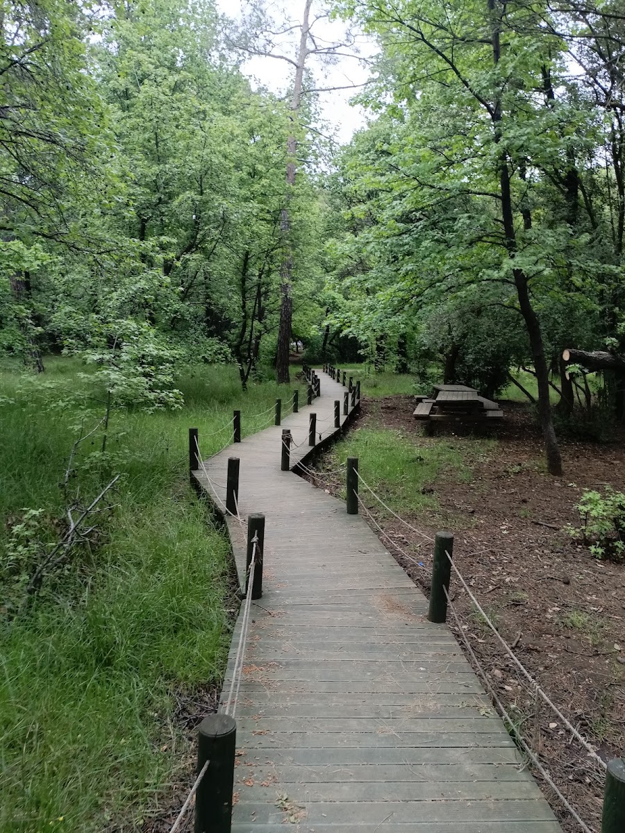 Günnücek (Marmaris Milli Parkı) — fotoğraf 2