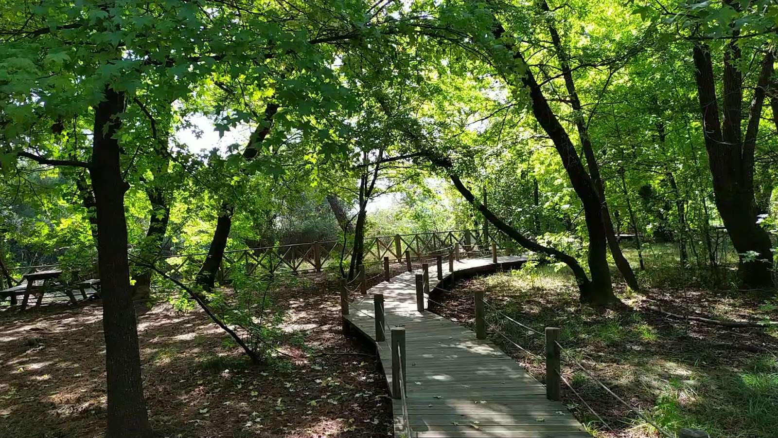 Günnücek (Marmaris Milli Parkı) — fotoğraf 3