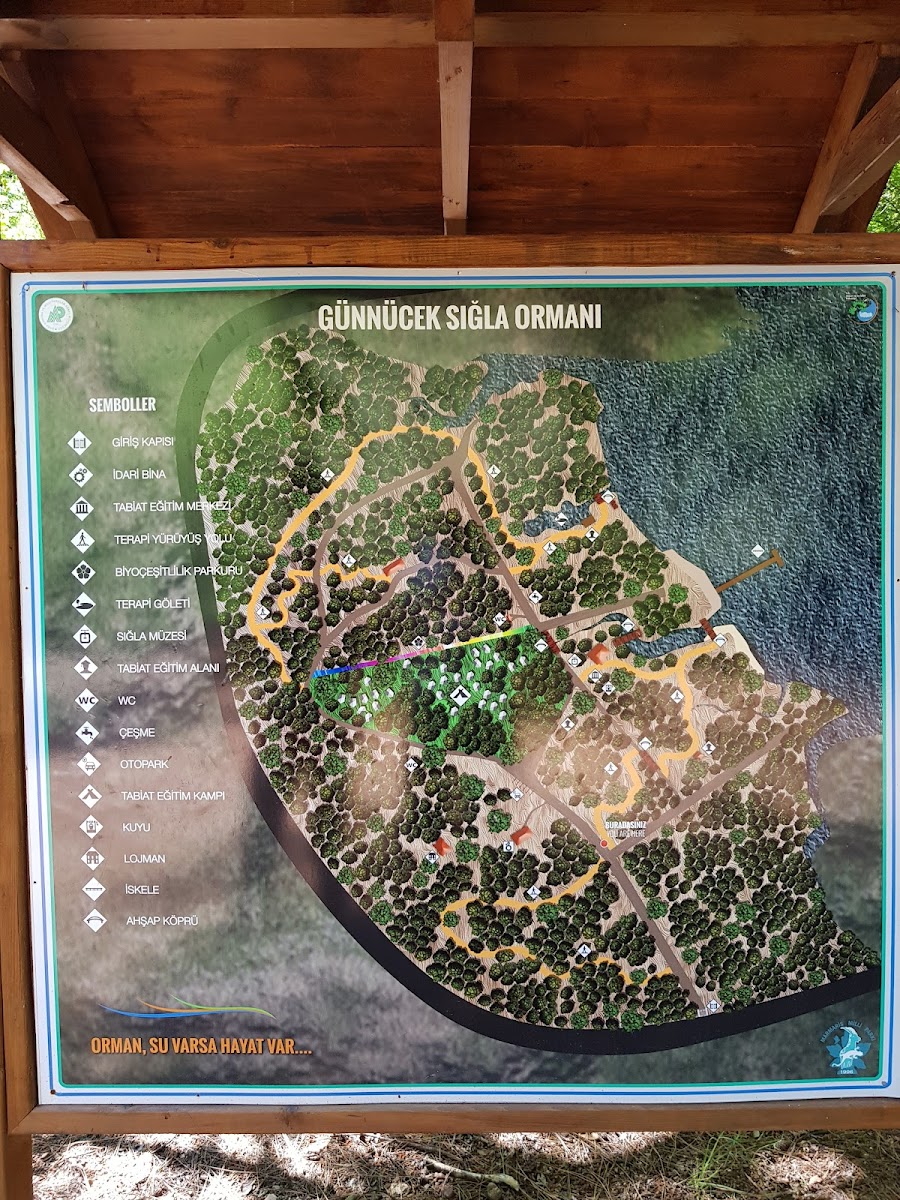 Günnücek (Marmaris Milli Parkı) — fotoğraf 4