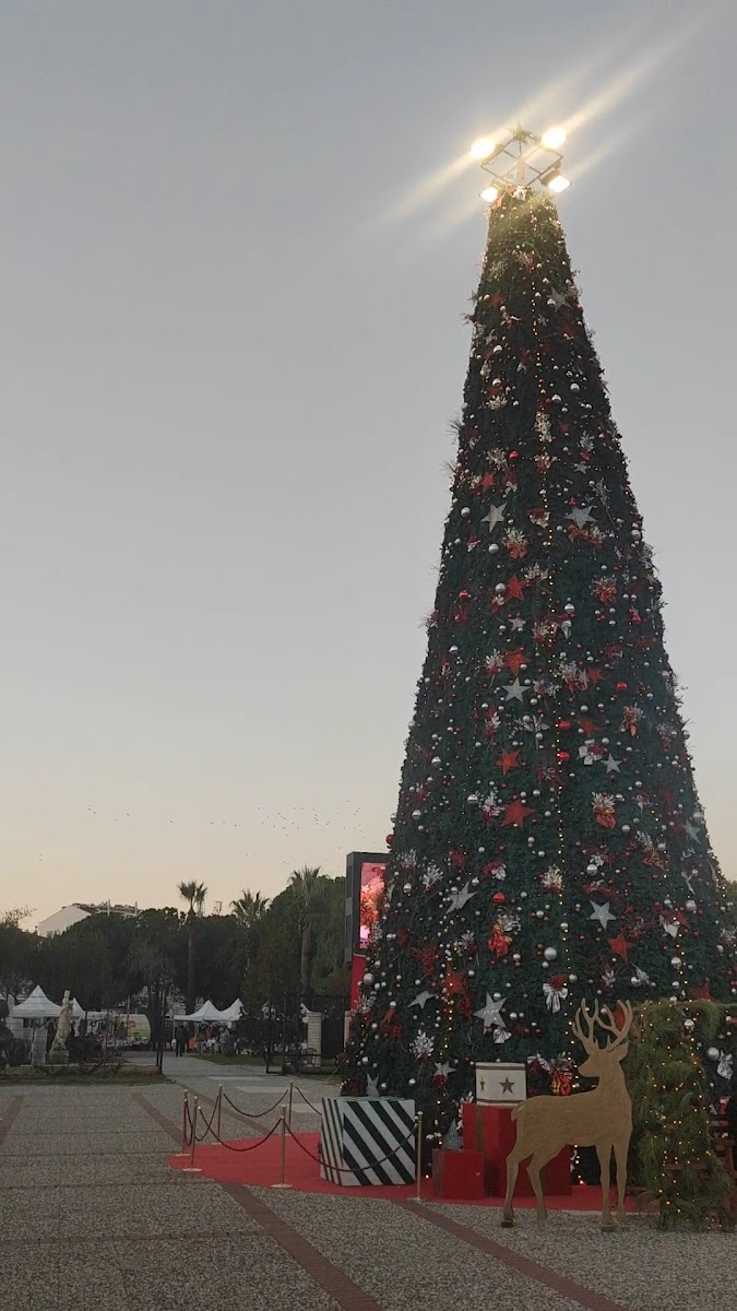 Güzel Sanatlar Parkı — fotoğraf 3