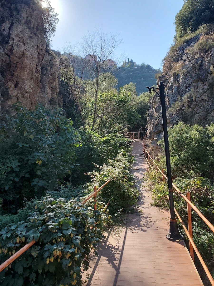 Hamamı — fotoğraf 1