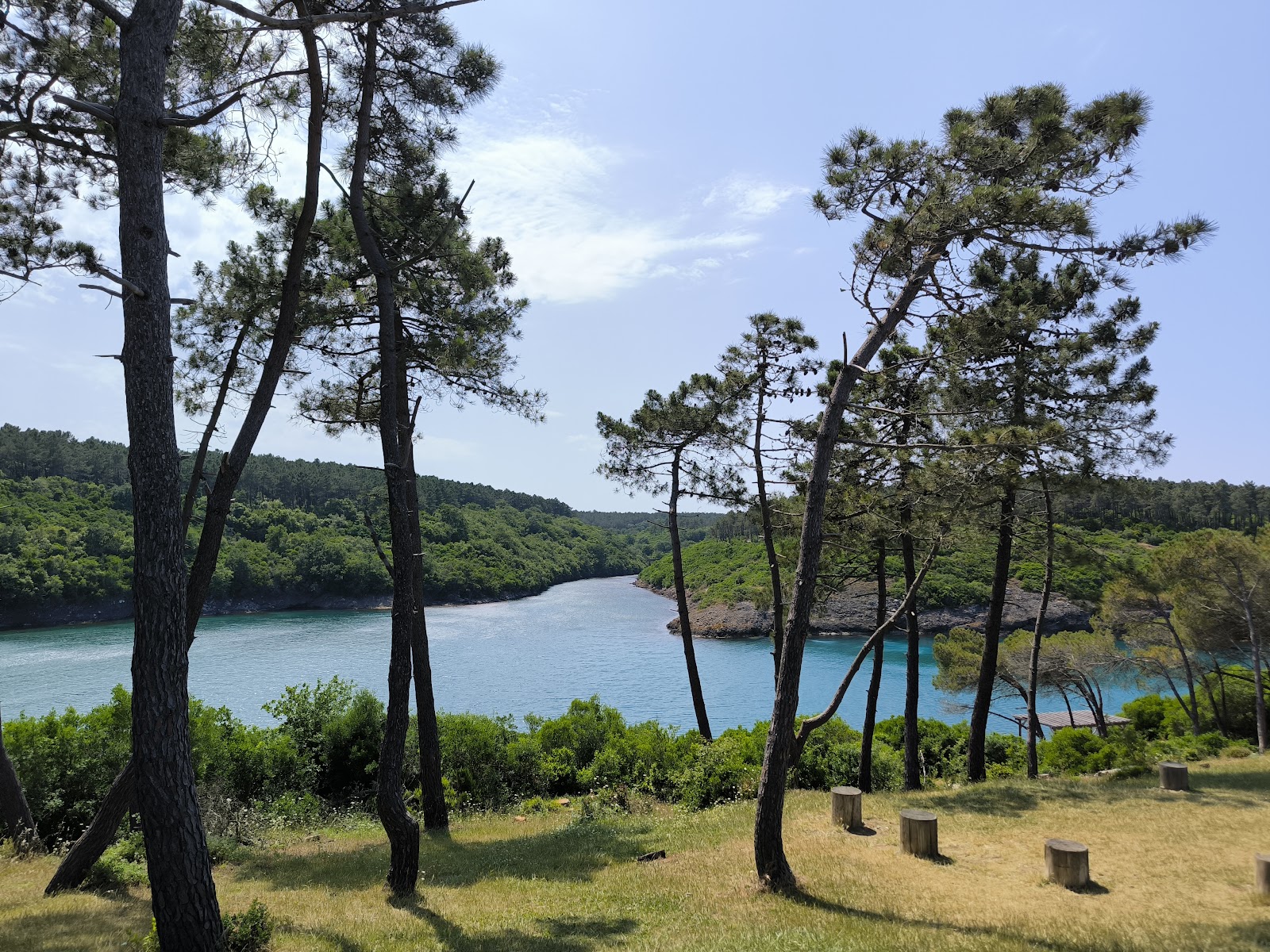 Hamsilos Tabiat Parkı — fotoğraf 1