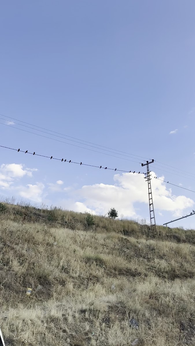 Hamur Millet Bahçesi — fotoğraf 3