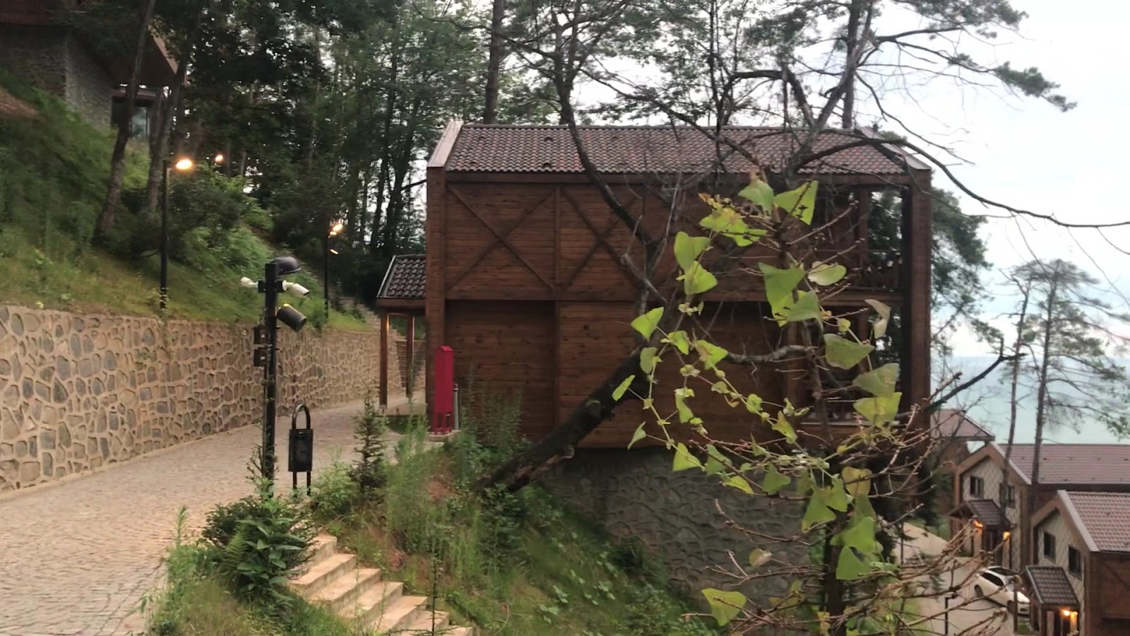 Hancıoğlu Çamburnu Orman Evleri & Otel — fotoğraf 3