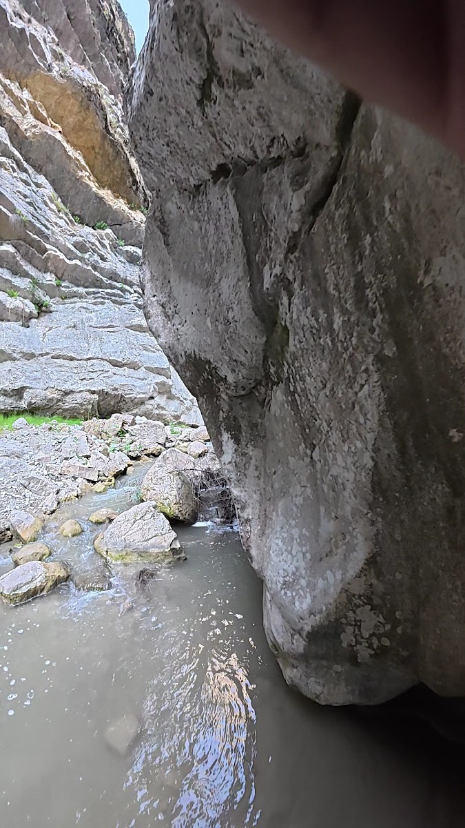 Harmankaya Tabiat Parkı — fotoğraf 4