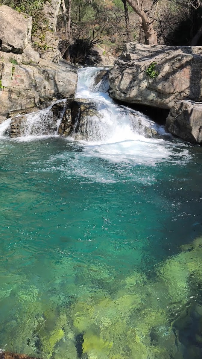 Hasan Boğuldu Göleti — fotoğraf 2