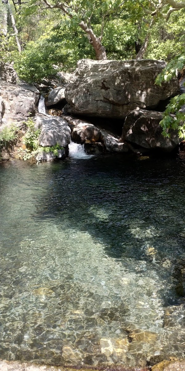 Hasan Boğuldu Göleti — fotoğraf 6