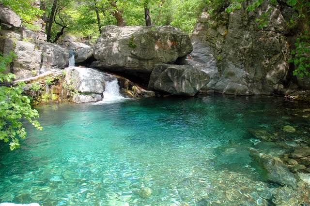 Hasanboğuldu Piknik Alanı — fotoğraf 1