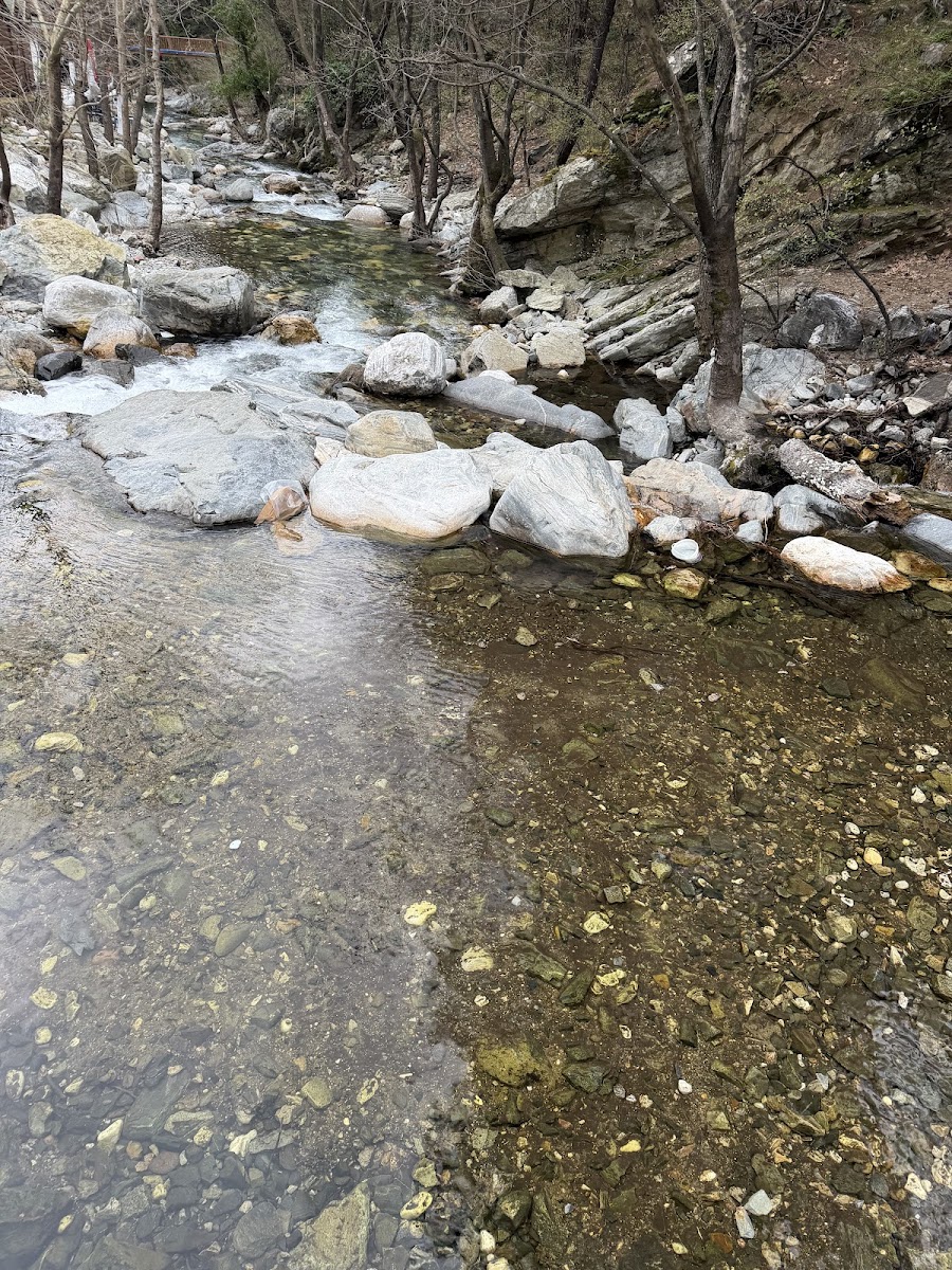 Hasanboğuldu Piknik Alanı — fotoğraf 2