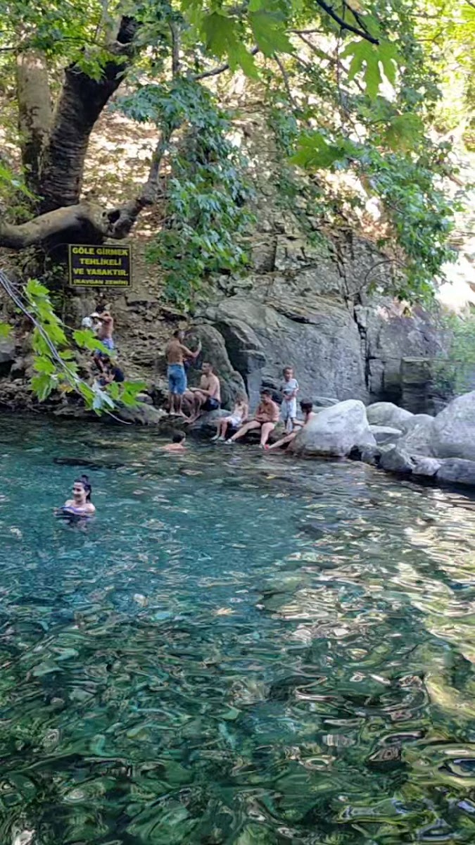 Hasanboğuldu Piknik Alanı — fotoğraf 3