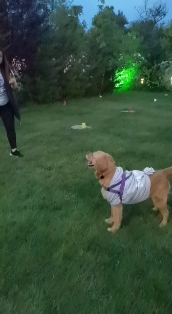 Hasbahçe 22.5 — fotoğraf 3