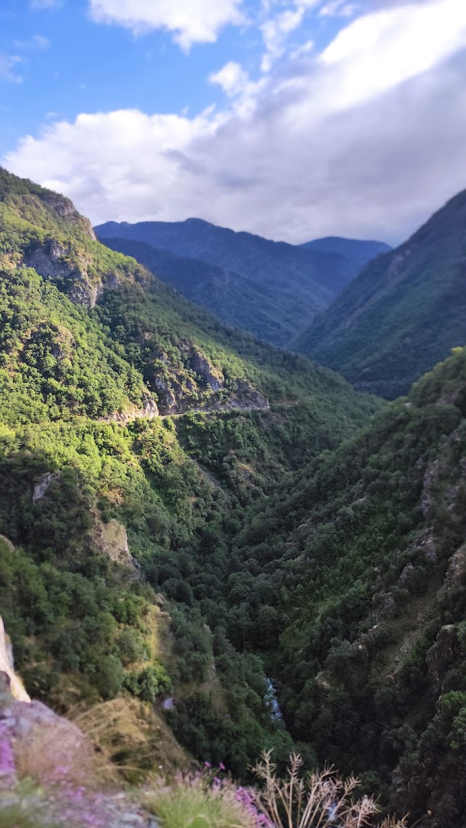 Hatila Vadisi Milli Parkı — fotoğraf 2