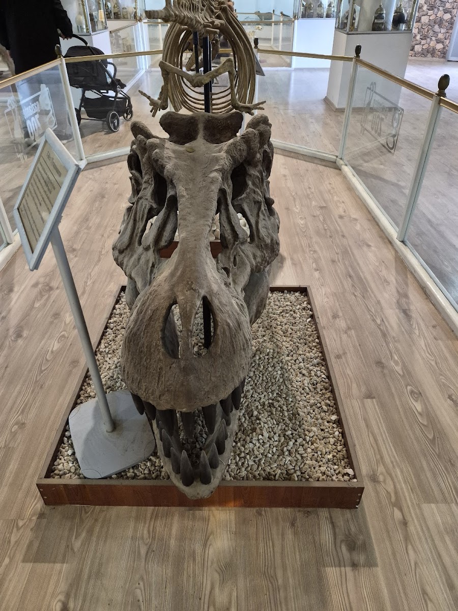 Hayvanat Bahçesi Zoo — fotoğraf 2