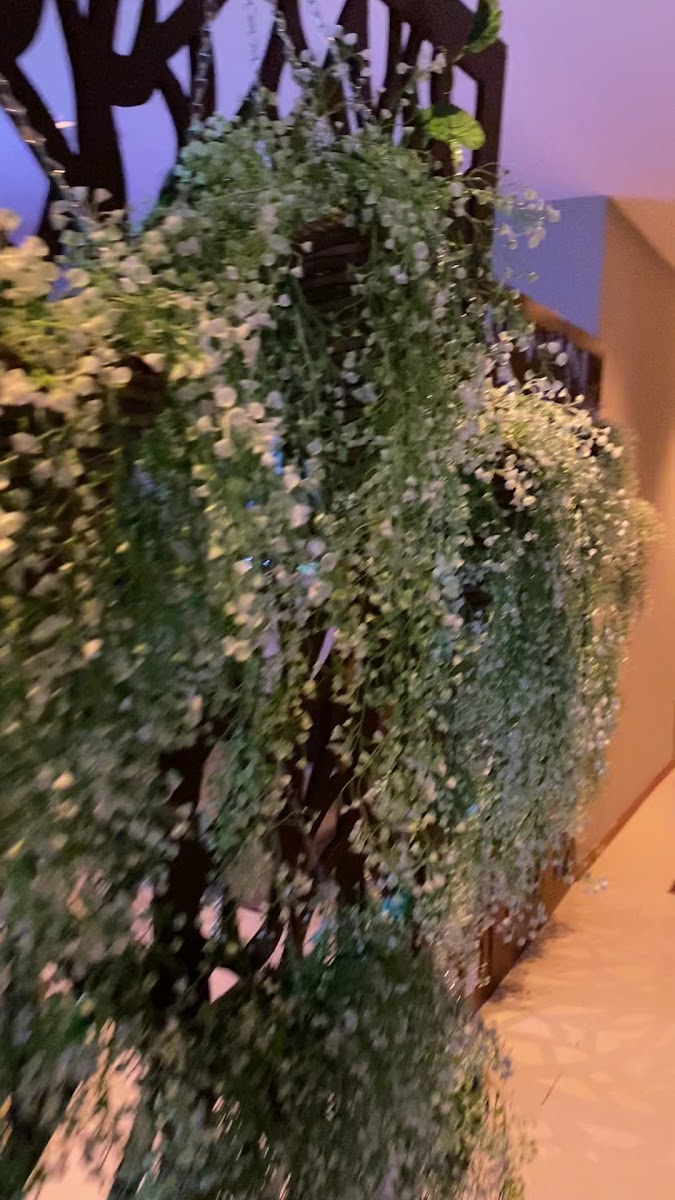 Hermes Spa & Hamam & Masaj — fotoğraf 2