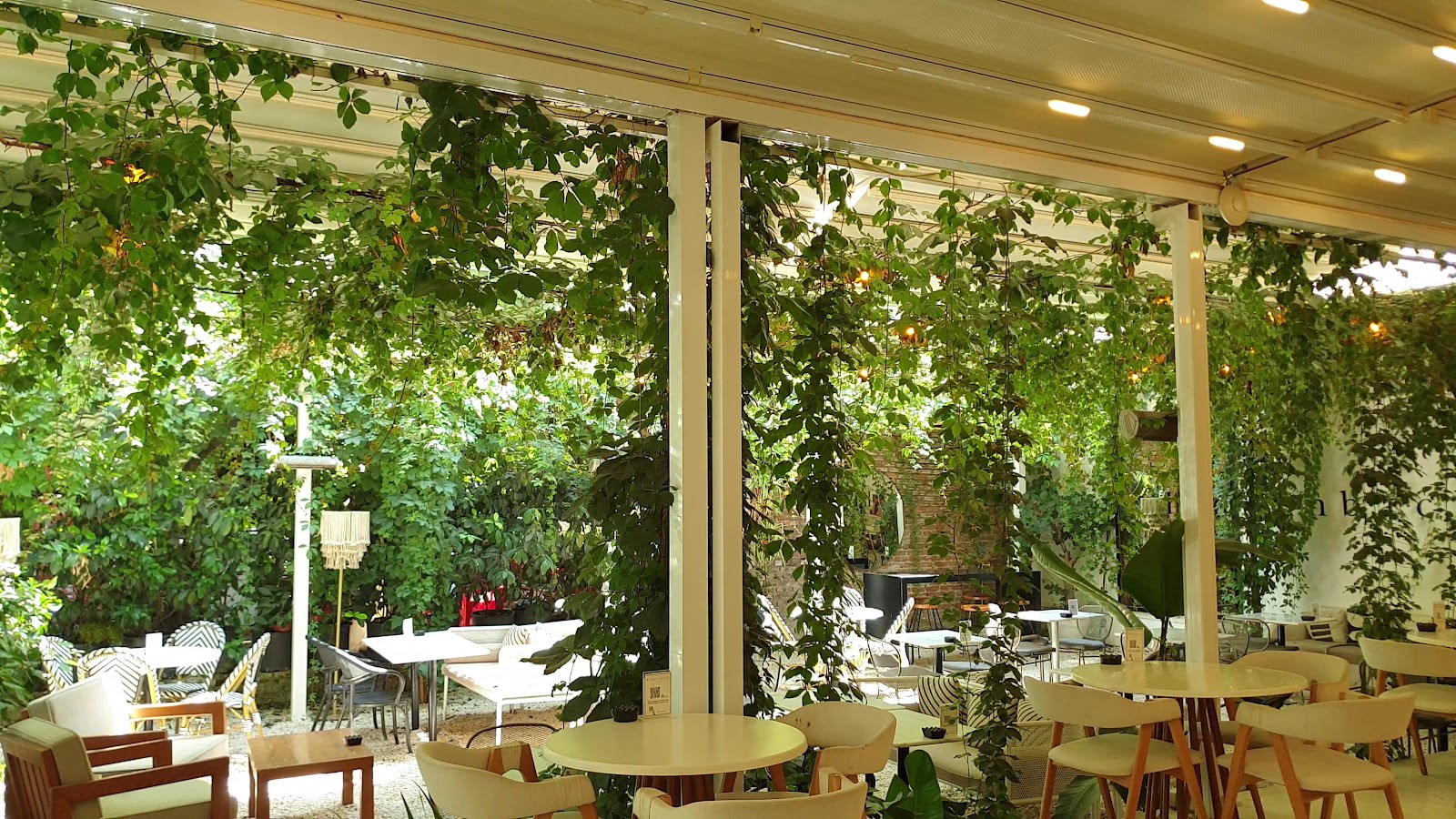 hidden back — fotoğraf 3