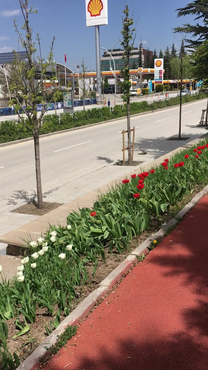 Hıfzı Veldet Velidedeoğlu Parkı — fotoğraf 3