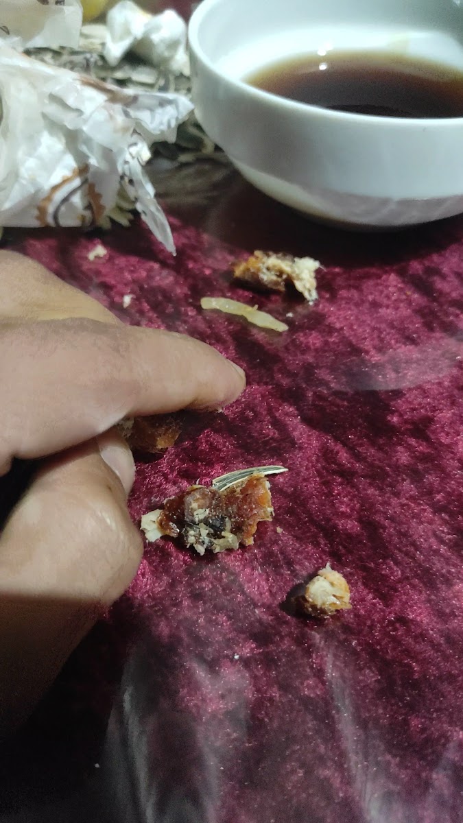 Hoca Nasreddin Et Restorant Merkez Şube Yenipınar — fotoğraf 3