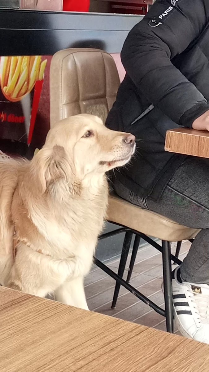 Hot Döner Çankırı — fotoğraf 3