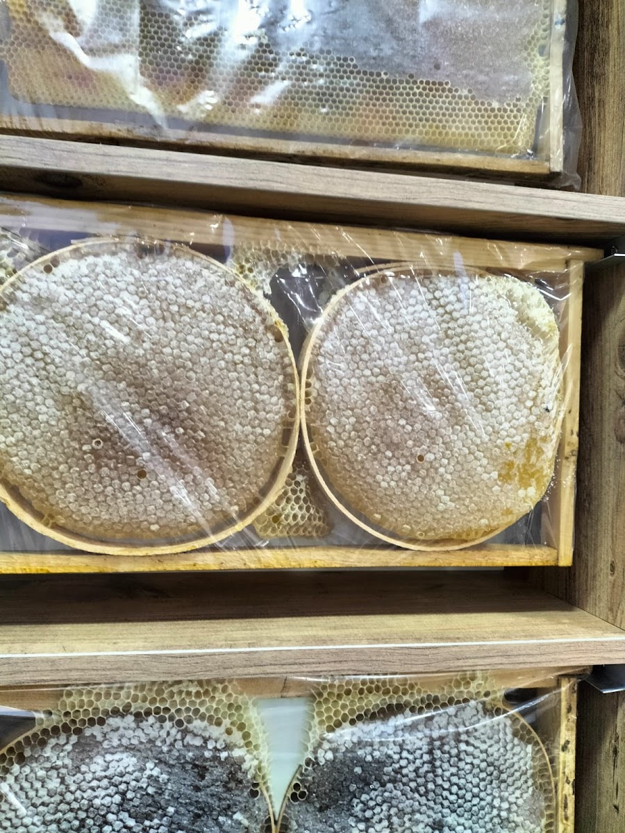 hotel beritan — fotoğraf 3