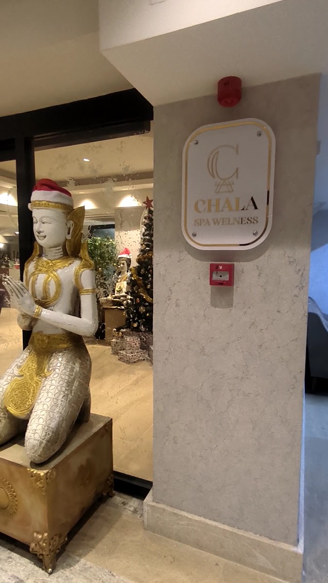 Hotel Gold Majesty — fotoğraf 4