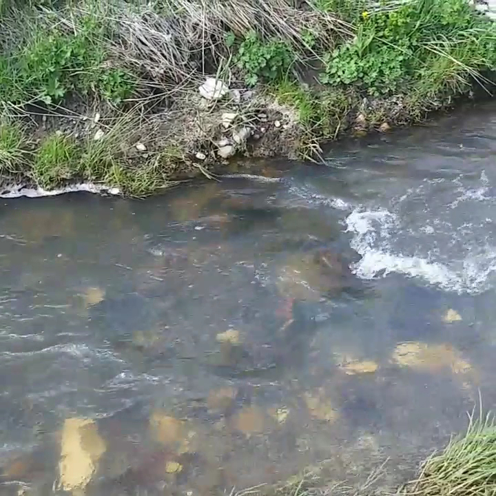 Hotel Gülistan — fotoğraf 3