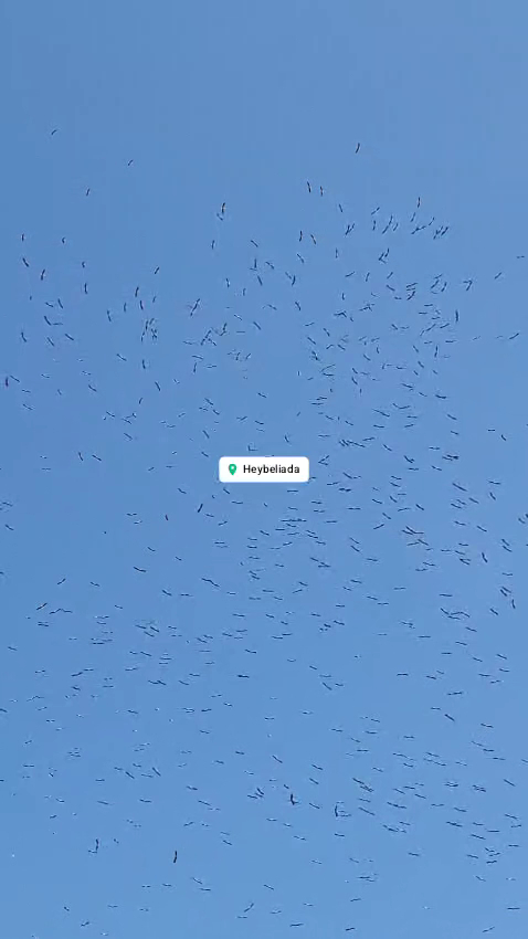 Hüseyin Rahmi Gürpınar Müzesi — fotoğraf 2