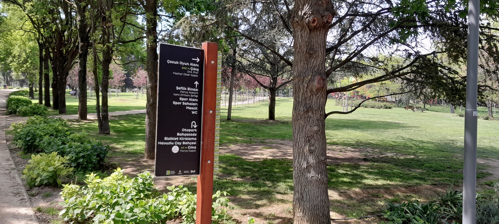 İBB Florya Atatürk Ormanı — fotoğraf 4