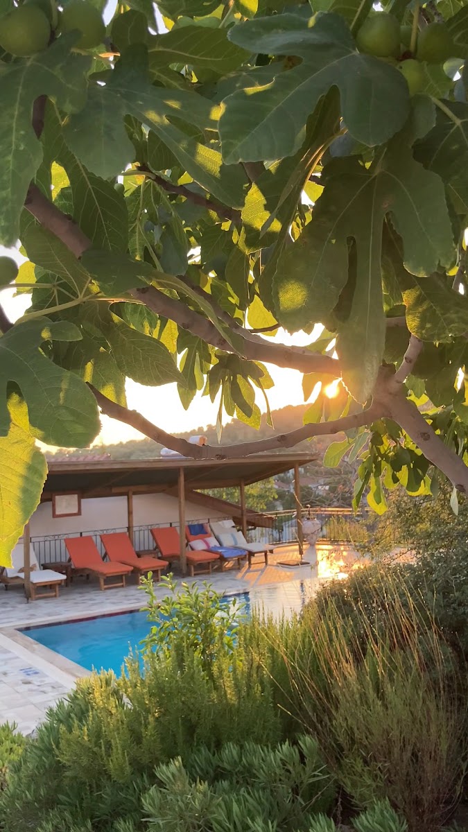 Ionia Guest House / İonia Konuk Evi ( Saman Ev / Saman Otel ) — fotoğraf 3