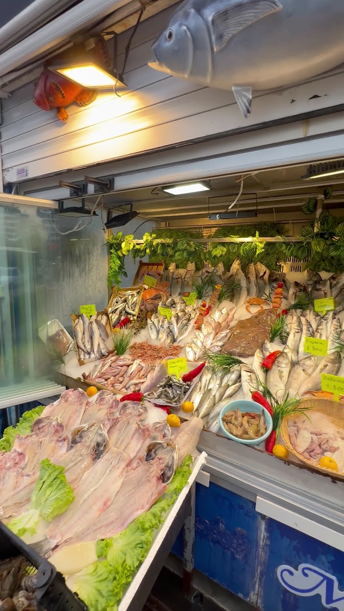 İşliyen Balık Evi — fotoğraf 3