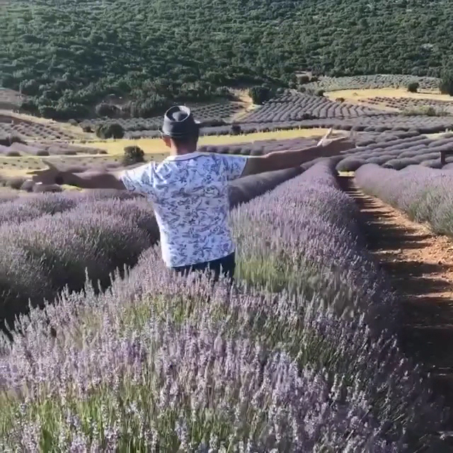 Ispartamdan (Kuyucak Isparta Lavanta Köyü) — fotoğraf 3