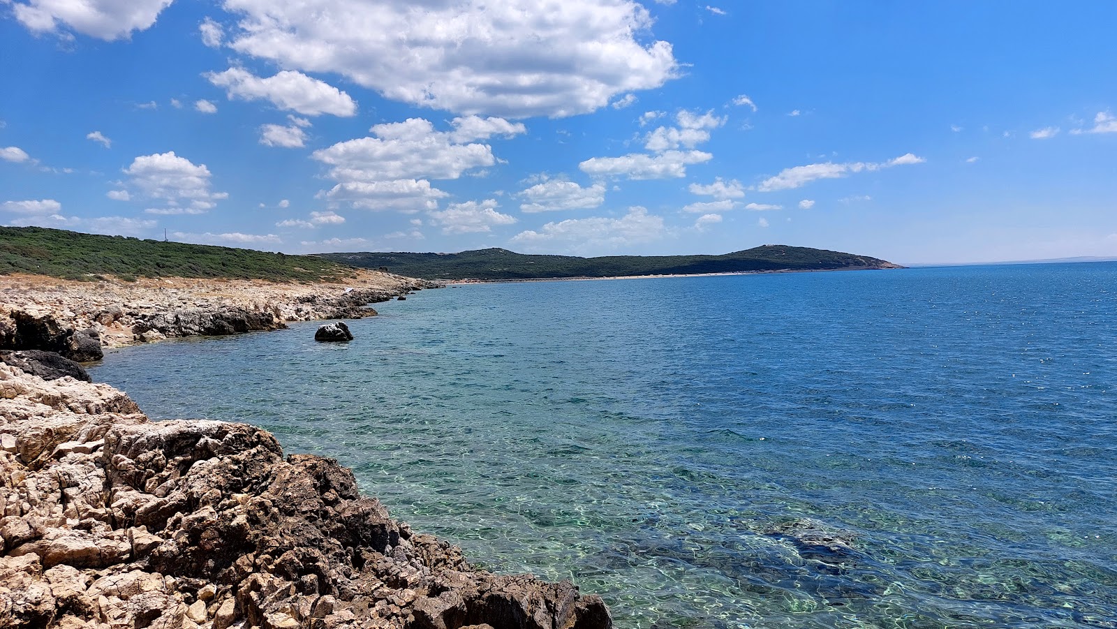 İtalyan Koyu — fotoğraf 1