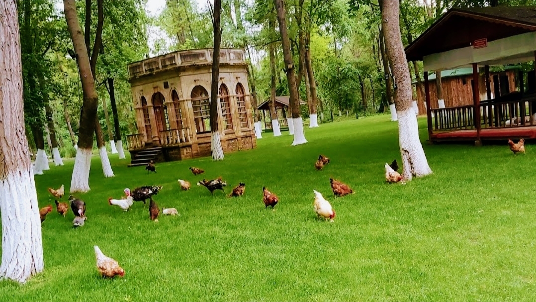 Iv. Mehmet Av Köşkü kır bahçesi ve düğün salonu edirne — fotoğraf 1