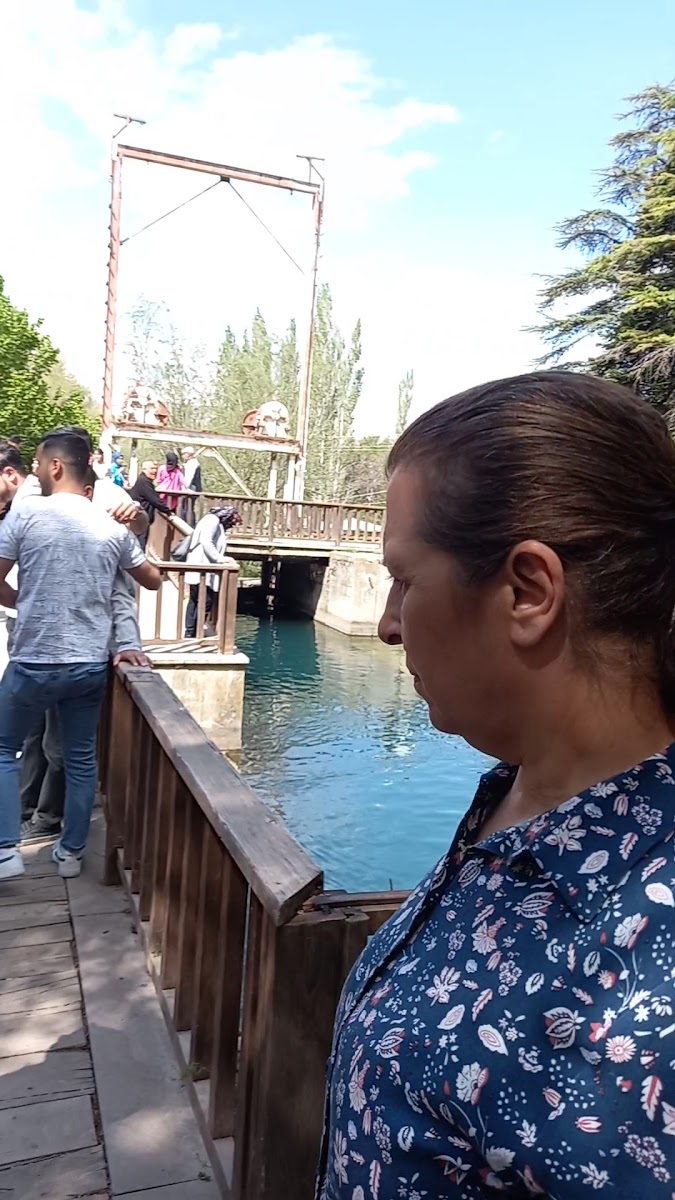 İvriz Kaya Anıtı — fotoğraf 3