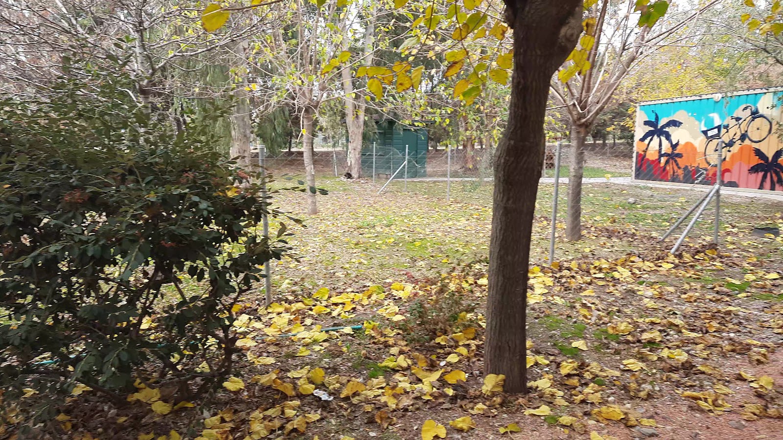 İzmir Büyükşehir Belediyesi İnciraltı Kent Ormanı — fotoğraf 3